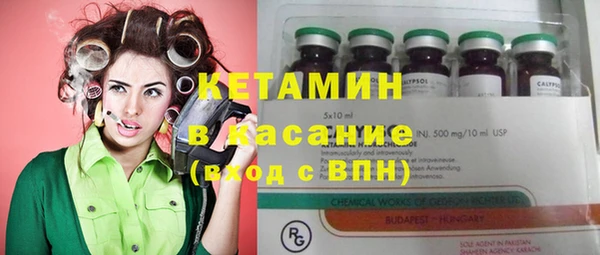 сатива Новодвинск