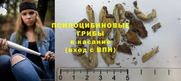 стафф Новозыбков