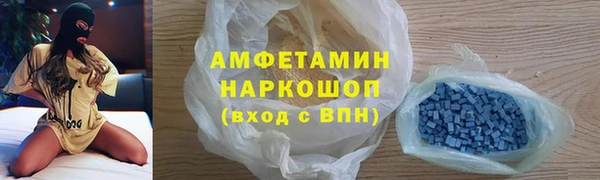 сатива Новодвинск