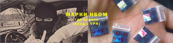 стафф Новозыбков