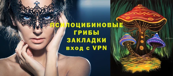 сатива Новодвинск