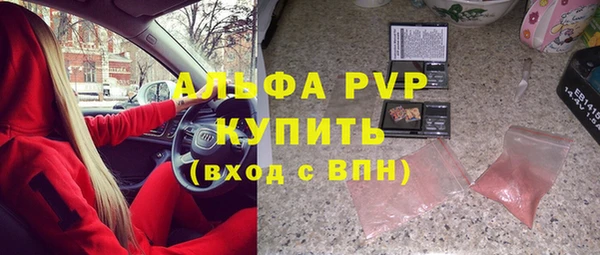 стафф Новозыбков