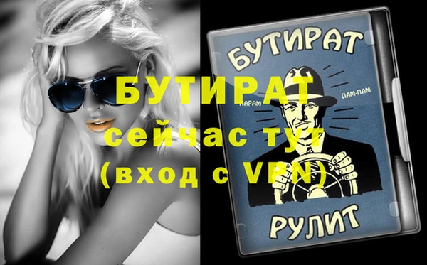 сатива Новодвинск