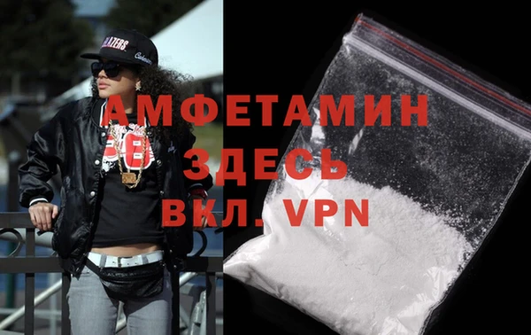 сатива Новодвинск