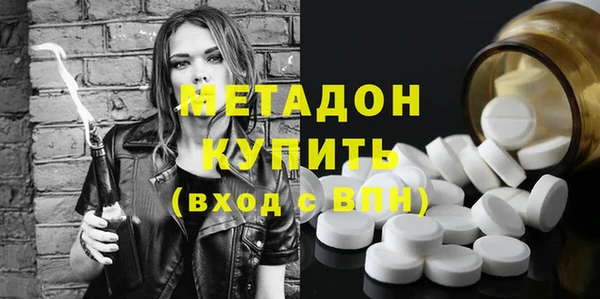 сатива Новодвинск