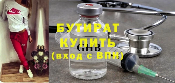 сатива Новодвинск