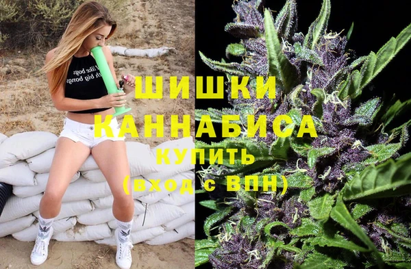 сатива Новодвинск
