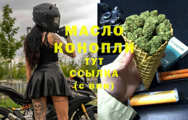 сатива Новодвинск