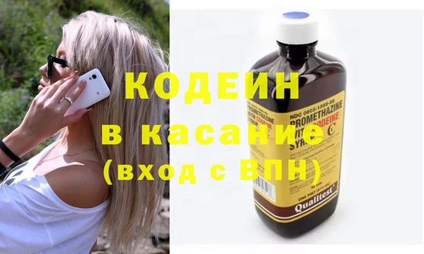 сатива Новодвинск