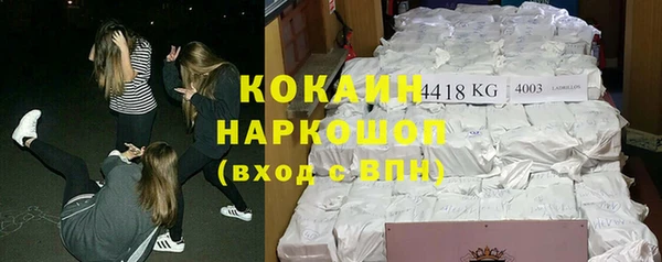 сатива Новодвинск