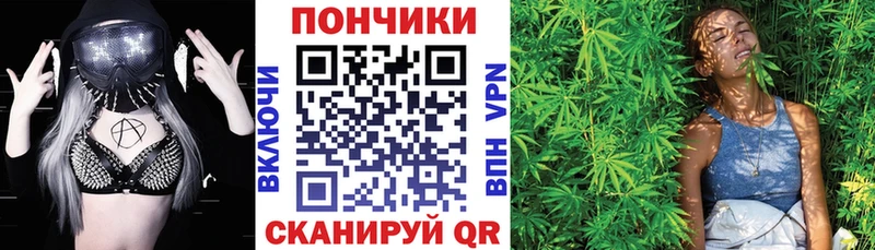 Бошки марихуана Amnesia закладки Чекалин